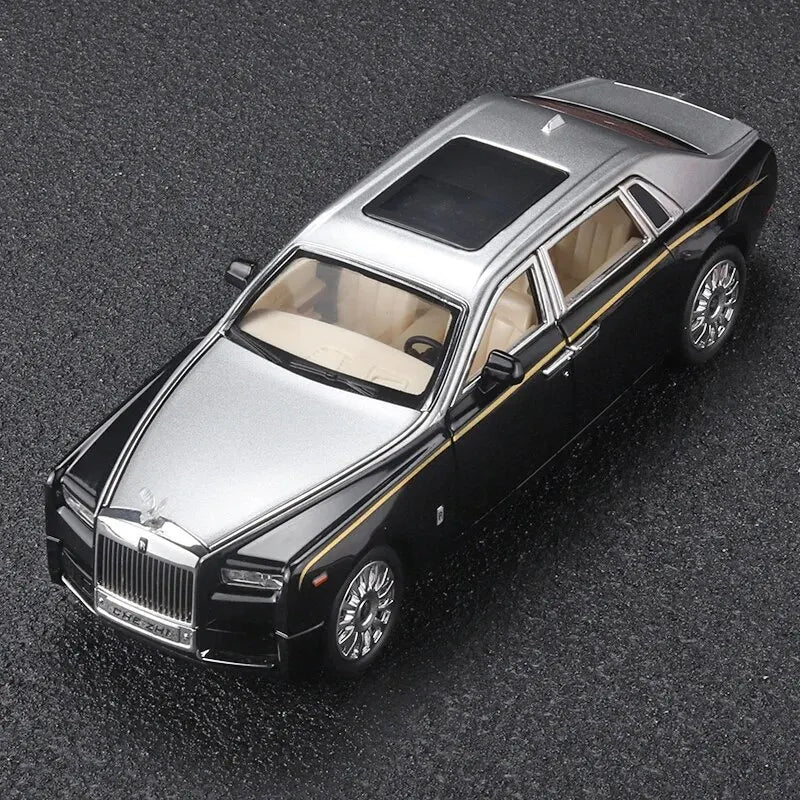 RR Phantom Model Zinc